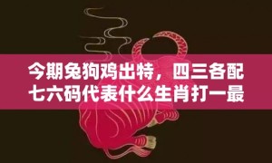 今期兔狗鸡出特，四三各配七六码代表什么生肖打一最佳数字生肖，成语释义解释落实