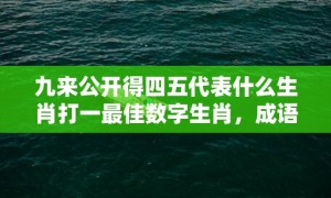 九来公开得四五代表什么生肖打一最佳数字生肖，成语释义解释落实