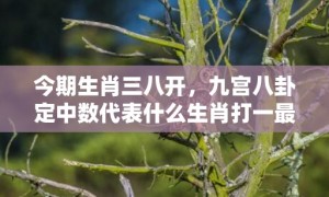 今期生肖三八开，九宫八卦定中数代表什么生肖打一最佳数字生肖，成语释义解释落实