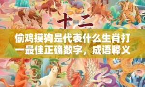 偷鸡摸狗是代表什么生肖打一最佳正确数字，成语释义解释落实