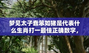 梦见太子蠢笨如猪是代表什么生肖打一最佳正确数字，成语释义解释落实