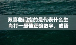 双喜临门指的是代表什么生肖打一最佳正确数字，成语释义解释落实