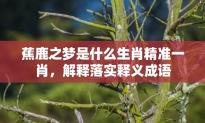 蕉鹿之梦是什么生肖精准一肖，解释落实释义成语