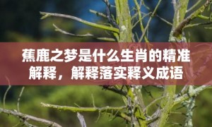 蕉鹿之梦是什么生肖的精准解释，解释落实释义成语