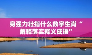 身强力壮指什么数字生肖“解释落实释义成语”