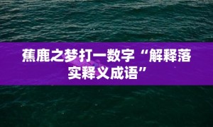 蕉鹿之梦打一数字“解释落实释义成语”