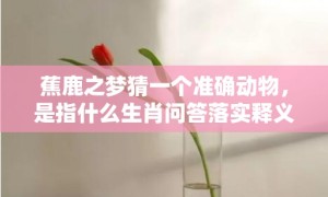 蕉鹿之梦猜一个准确动物，是指什么生肖问答落实释义