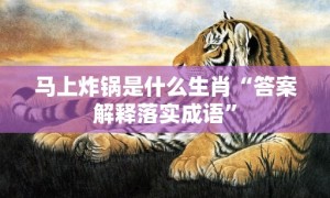 马上炸锅是什么生肖“答案解释落实成语”