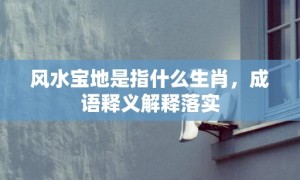 风水宝地是指什么生肖，成语释义解释落实