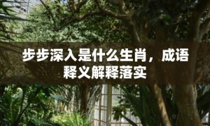 步步深入是什么生肖，成语释义解释落实