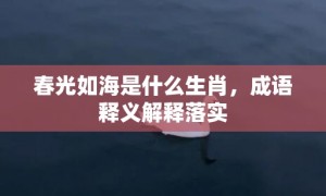 春光如海是什么生肖，成语释义解释落实