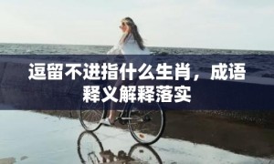 逗留不进指什么生肖，成语释义解释落实