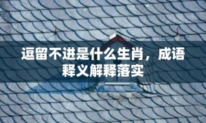 逗留不进是什么生肖，成语释义解释落实