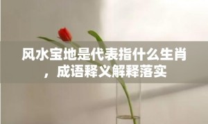 风水宝地是代表指什么生肖，成语释义解释落实