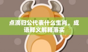 点滴归公代表什么生肖，成语释义解释落实