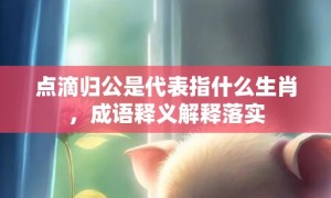 点滴归公是代表指什么生肖，成语释义解释落实
