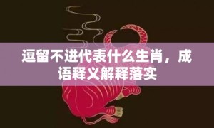 逗留不进代表什么生肖，成语释义解释落实