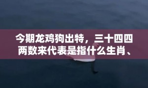 今期龙鸡狗出特，三十四四两数来代表是指什么生肖、“成语释义解释落实”