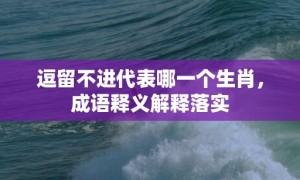 逗留不进代表哪一个生肖，成语释义解释落实