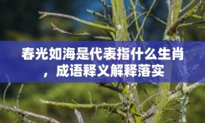 春光如海是代表指什么生肖，成语释义解释落实