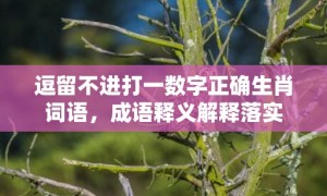 逗留不进打一数字正确生肖词语，成语释义解释落实