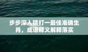 步步深入猜打一最佳准确生肖，成语释义解释落实