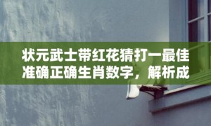 状元武士带红花猜打一最佳准确正确生肖数字，解析成语释义落实