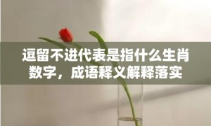 逗留不进代表是指什么生肖数字，成语释义解释落实