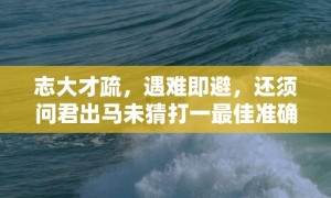 志大才疏，遇难即避，还须问君出马未猜打一最佳准确正确生肖数字，解析成语释义落实