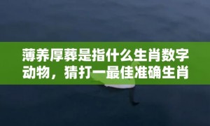 薄养厚葬是指什么生肖数字动物，猜打一最佳准确生肖数字经典词意解答