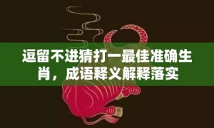 逗留不进猜打一最佳准确生肖，成语释义解释落实