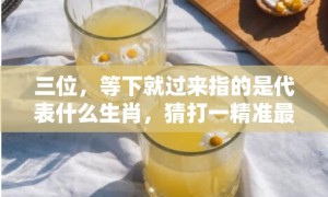 三位，等下就过来指的是代表什么生肖，猜打一精准最佳生肖数字分析落实解答