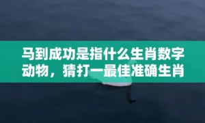 马到成功是指什么生肖数字动物，猜打一最佳准确生肖数字经典词意解答