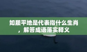 如履平地是代表指什么生肖，解答成语落实释义