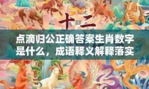 点滴归公正确答案生肖数字是什么，成语释义解释落实