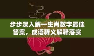 步步深入解一生肖数字最佳答案，成语释义解释落实