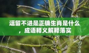 逗留不进是正确生肖是什么，成语释义解释落实