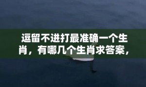 逗留不进打最准确一个生肖，有哪几个生肖求答案，成语释义解释落实