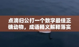 点滴归公打一个数字最佳正确动物，成语释义解释落实