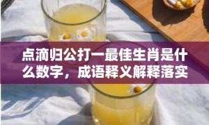 点滴归公打一最佳生肖是什么数字，成语释义解释落实