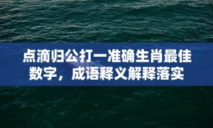 点滴归公打一准确生肖最佳数字，成语释义解释落实