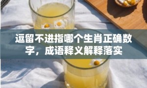 逗留不进指哪个生肖正确数字，成语释义解释落实