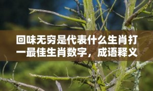 回味无穷是代表什么生肖打一最佳生肖数字，成语释义解释落实