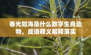 春光如海是什么数字生肖动物，成语释义解释落实