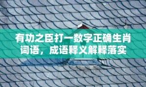 有功之臣打一数字正确生肖词语，成语释义解释落实