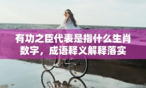 有功之臣代表是指什么生肖数字，成语释义解释落实