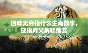 回味无穷指什么生肖数字，成语释义解释落实