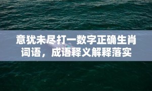 意犹未尽打一数字正确生肖词语，成语释义解释落实