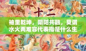 袖里乾坤，阴阳共融，莫谓水火两难容代表指是什么生肖猜打一正确数字，成语释义解释落实