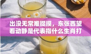 出没无常难捉摸，东张西望看动静是代表指什么生肖打一最佳准确生肖数字，成语释义解释落实